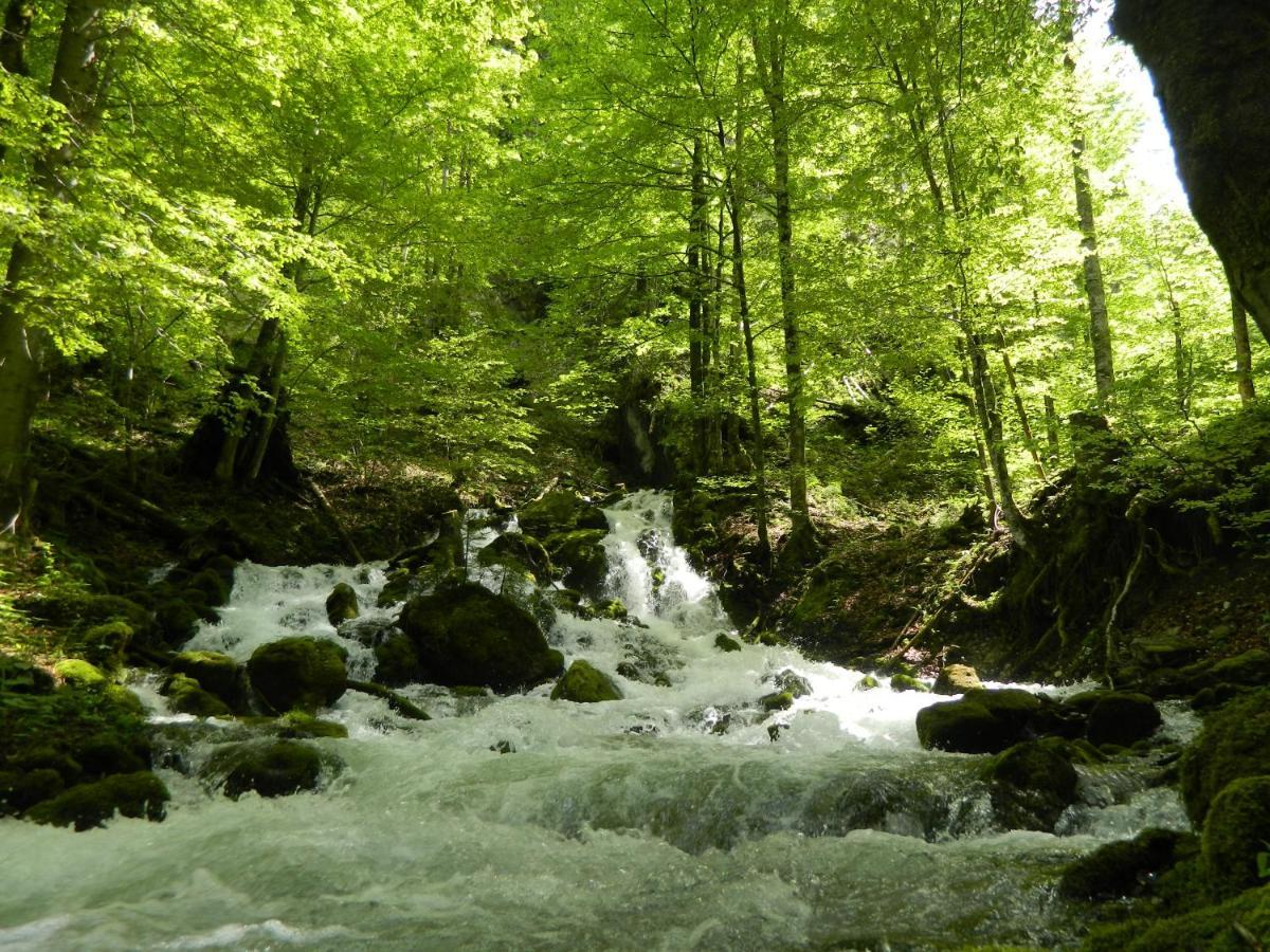 Egglmeier'S Ferienwohnung Grundlsee Dış mekan fotoğraf